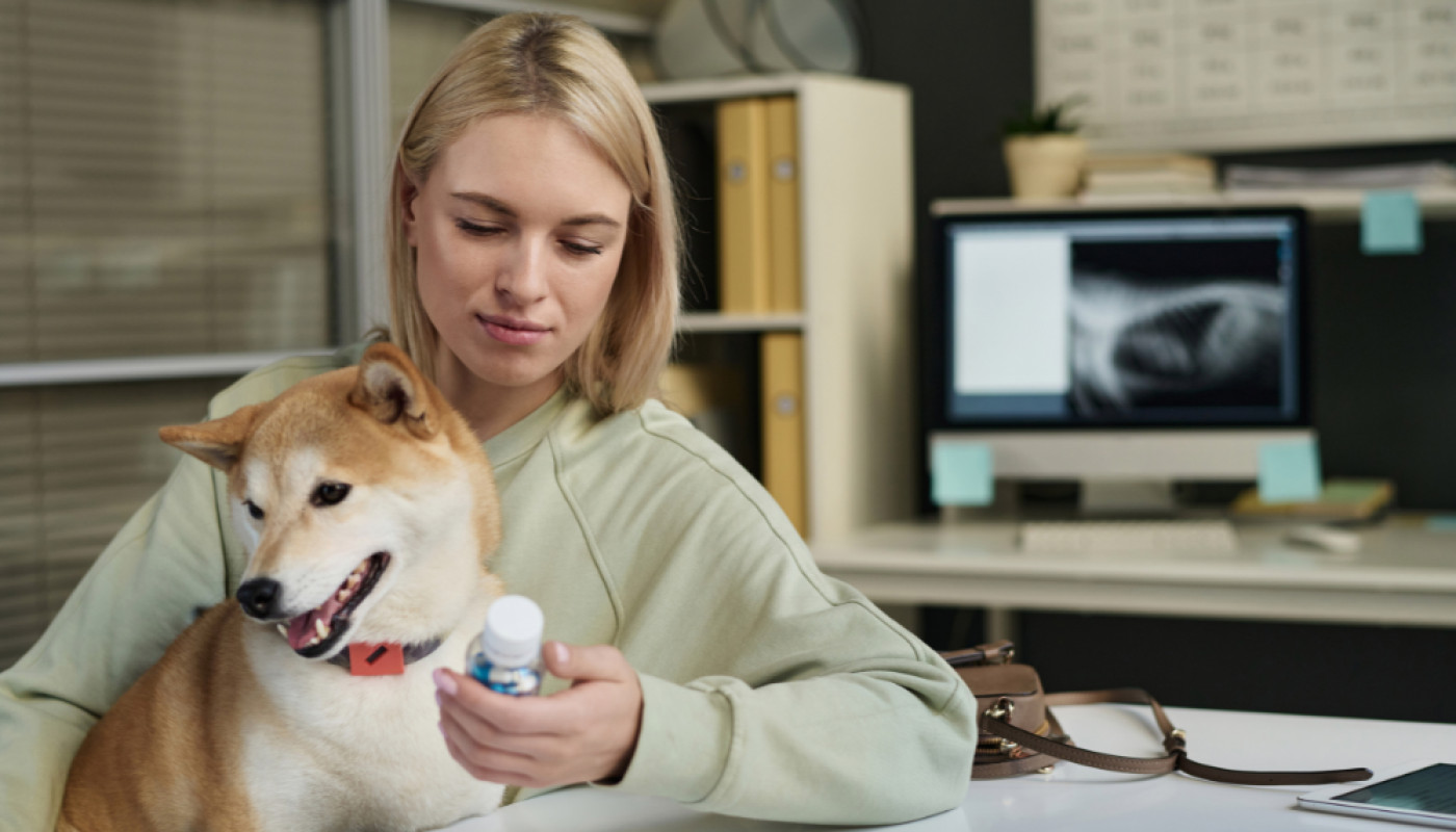 Chiens - Labo Demeter, spécialiste des anti-douleurs pour chien naturels