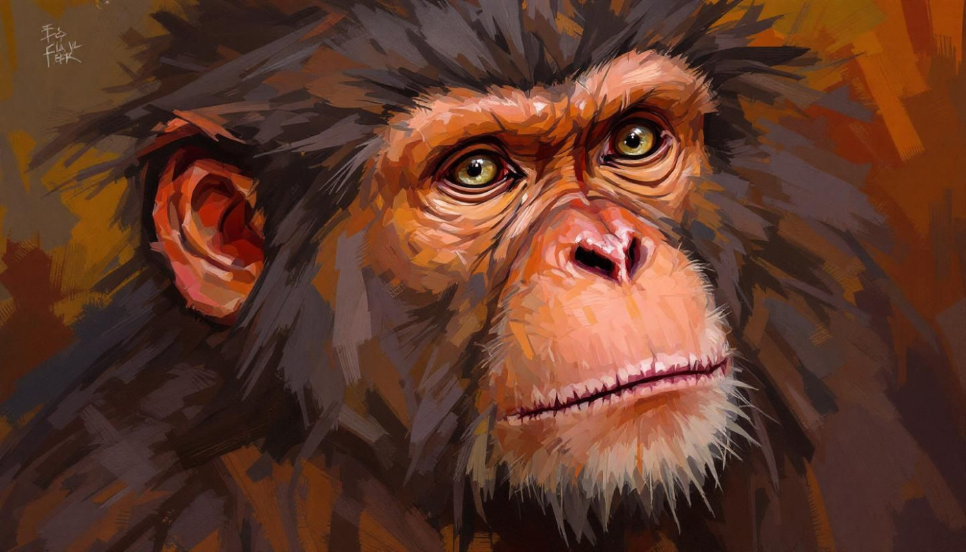 Comment les tableaux de singes reflètent-ils les émotions humaines ?